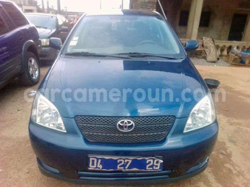 Big with watermark 30623955 578122035882356 6857030771144654848 n