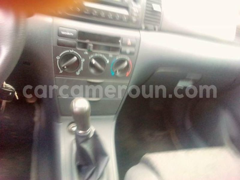 Big with watermark 30705011 1080215435450894 1812932972978896896 n