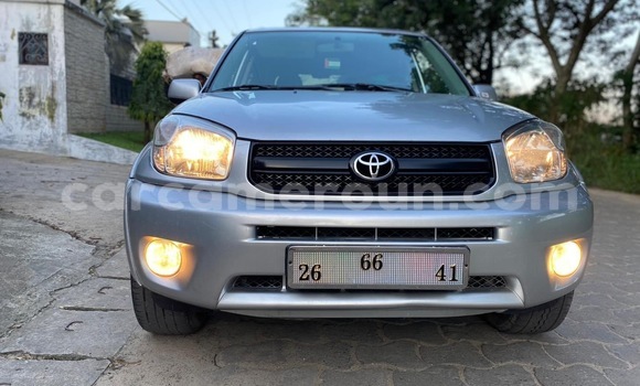Acheter Occasion Voiture Toyota RAV4 Gris à Douala, Littoral Cameroon