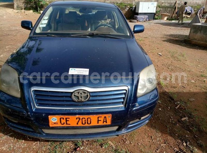 Big with watermark 30629329 194112211393369 244064733525704704 n