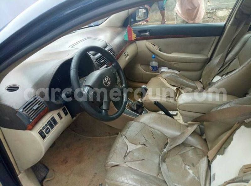 Big with watermark 30705011 1080215435450894 1812932972978896896 n