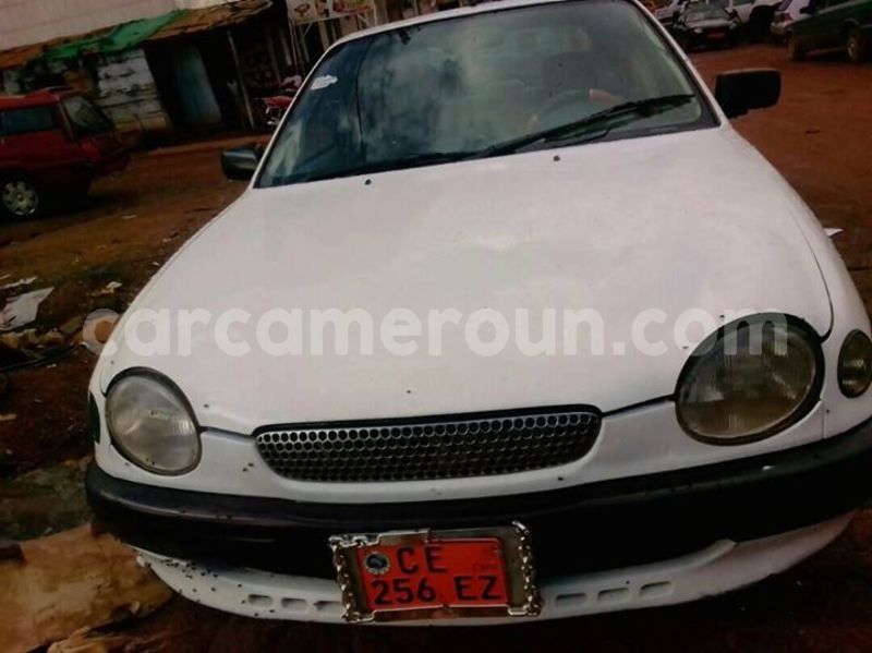 Big with watermark 30629329 194112211393369 244064733525704704 n