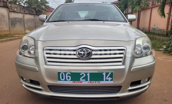 Buy Used Toyota Avensis Beige Car in Yaounde in Central Cameroon Buy Used Toyota Avensis Beige Car in Yaounde in Central Cameroon