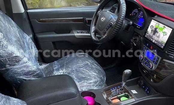 Acheter Occasion Voiture Hyundai Santa Fe Noir à Douala, Littoral Cameroon Acheter Occasion Voiture Hyundai Santa Fe Noir à Douala, Littoral Cameroon