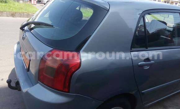 Acheter Occasion Voiture Toyota Allex Gris à Douala au Littoral Cameroon Acheter Occasion Voiture Toyota Allex Gris à Douala au Littoral Cameroon