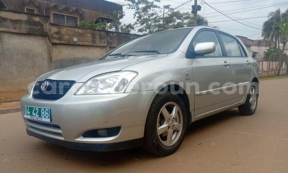 Buy Used Toyota Corolla Silver Car in Yaounde in Central Cameroon