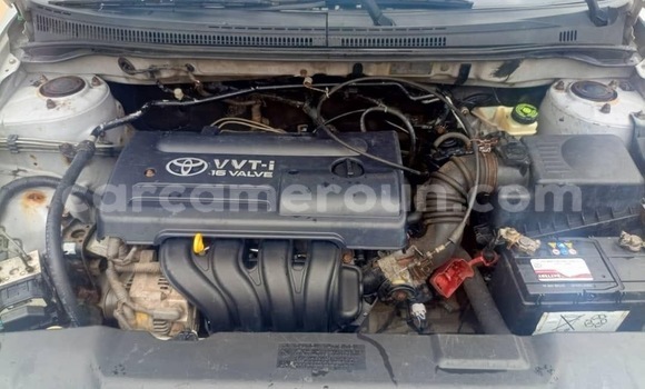 Sayi Na hannu Toyota Corolla Azurfa Mota in Yaounde a Babban Kamaru Sayi Na hannu Toyota Corolla Azurfa Mota in Yaounde a Babban Kamaru