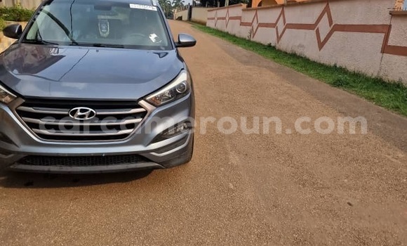 Acheter Occasion Voiture Hyundai Tucson Gris à Yaoundé, Central Cameroon Acheter Occasion Voiture Hyundai Tucson Gris à Yaoundé, Central Cameroon