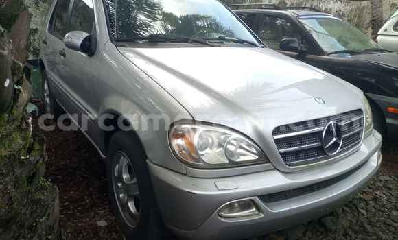 Sayi Na hannu Mercedes‒Benz ML–Class Azurfa Mota in Douala a Ƙasar Kamaru Sayi Na hannu Mercedes‒Benz ML–Class Azurfa Mota in Douala a Ƙasar Kamaru