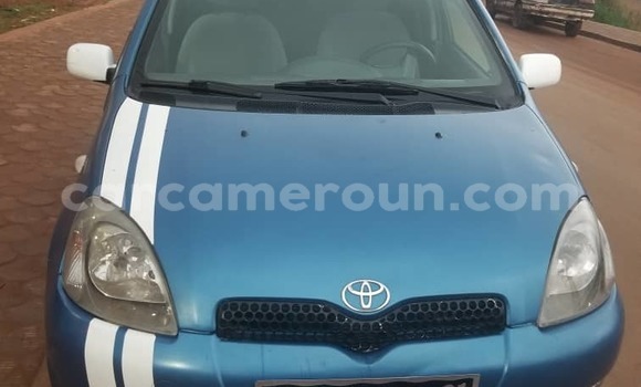 Buy Used Toyota Yaris Blue Car in Yaounde in Central Cameroon Buy Used Toyota Yaris Blue Car in Yaounde in Central Cameroon