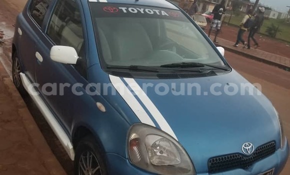 Buy Used Toyota Yaris Blue Car in Yaounde in Central Cameroon Buy Used Toyota Yaris Blue Car in Yaounde in Central Cameroon