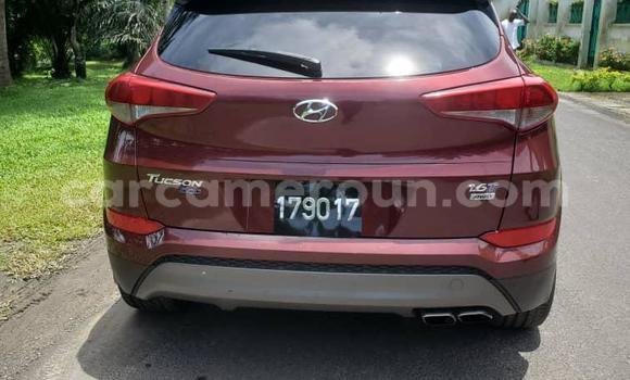 Sayi Na hannu Hyundai Tucson Sauran Mota in Yaounde a Babban Kamaru Sayi Na hannu Hyundai Tucson Sauran Mota in Yaounde a Babban Kamaru