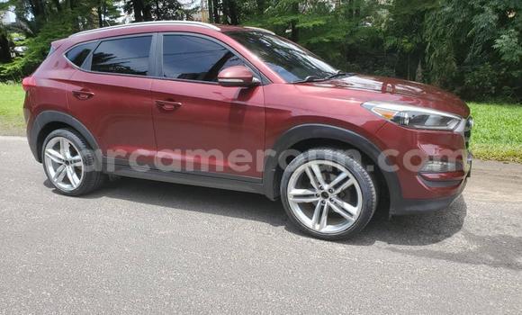 Sayi Na hannu Hyundai Tucson Sauran Mota in Yaounde a Babban Kamaru Sayi Na hannu Hyundai Tucson Sauran Mota in Yaounde a Babban Kamaru