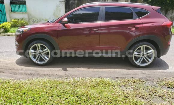 Sayi Na hannu Hyundai Tucson Sauran Mota in Yaounde a Babban Kamaru Sayi Na hannu Hyundai Tucson Sauran Mota in Yaounde a Babban Kamaru