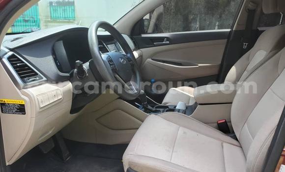 Sayi Na hannu Hyundai Tucson Sauran Mota in Yaounde a Babban Kamaru Sayi Na hannu Hyundai Tucson Sauran Mota in Yaounde a Babban Kamaru