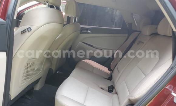 Sayi Na hannu Hyundai Tucson Sauran Mota in Yaounde a Babban Kamaru Sayi Na hannu Hyundai Tucson Sauran Mota in Yaounde a Babban Kamaru