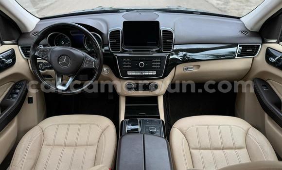 Buy Used Mercedes‒Benz GLE Silver Car in Yaounde in Central Cameroon Buy Used Mercedes‒Benz GLE Silver Car in Yaounde in Central Cameroon