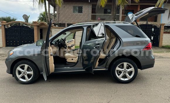 Buy Used Mercedes‒Benz GLE Silver Car in Yaounde in Central Cameroon Buy Used Mercedes‒Benz GLE Silver Car in Yaounde in Central Cameroon