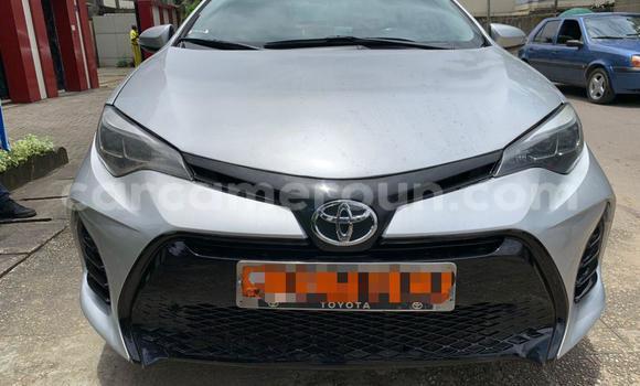 Sayi Na hannu Toyota Corolla Azurfa Mota in Douala a Ƙasar Kamaru