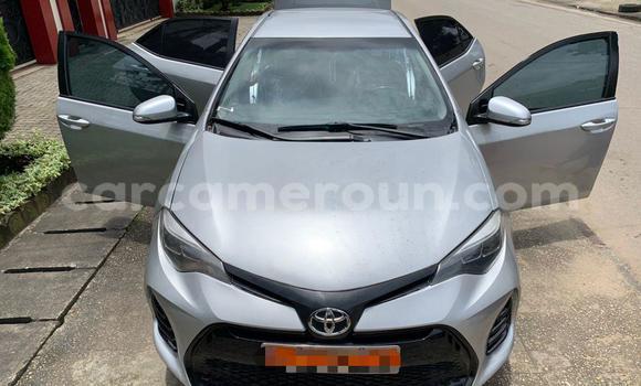 Acheter Occasion Voiture Toyota Corolla Gris à Douala, Littoral Cameroon Acheter Occasion Voiture Toyota Corolla Gris à Douala, Littoral Cameroon