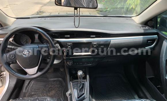 Acheter Occasion Voiture Toyota Corolla Gris à Douala, Littoral Cameroon Acheter Occasion Voiture Toyota Corolla Gris à Douala, Littoral Cameroon