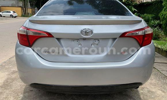 Acheter Occasion Voiture Toyota Corolla Gris à Douala, Littoral Cameroon Acheter Occasion Voiture Toyota Corolla Gris à Douala, Littoral Cameroon