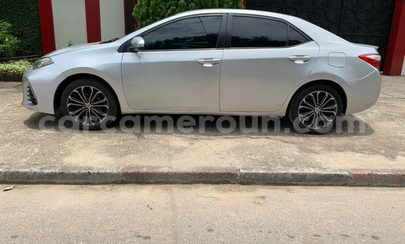 Acheter Occasion Voiture Toyota Corolla Gris à Douala, Littoral Cameroon Acheter Occasion Voiture Toyota Corolla Gris à Douala, Littoral Cameroon