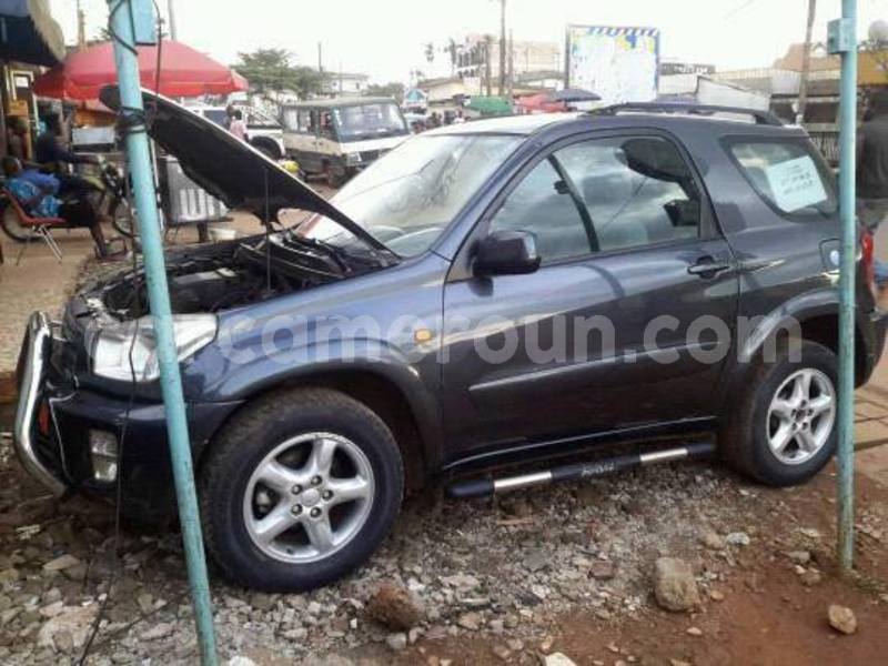 Big with watermark 30629329 194112211393369 244064733525704704 n