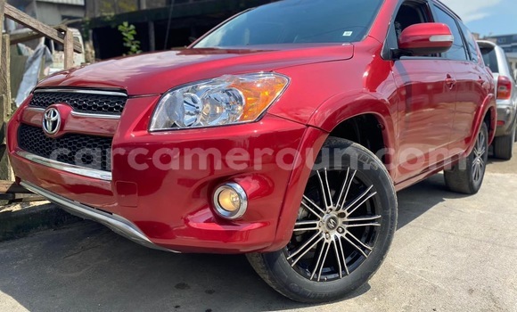 Buy Used Toyota RAV4 Red Car in Douala in Littoral Cameroon