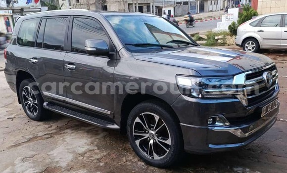 Buy Import Toyota Land Cruiser Silver Car in Douala in Littoral Cameroon