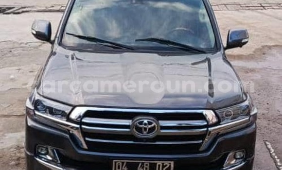 Acheter Import Voiture Toyota Land Cruiser Gris à Douala, Littoral Cameroon Acheter Import Voiture Toyota Land Cruiser Gris à Douala, Littoral Cameroon