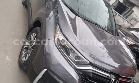 Buy Import Honda CR–V Silver Car in Douala in Littoral Cameroon