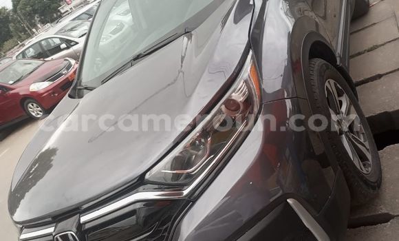 Buy Import Honda CR–V Silver Car in Douala in Littoral Cameroon Buy Import Honda CR–V Silver Car in Douala in Littoral Cameroon