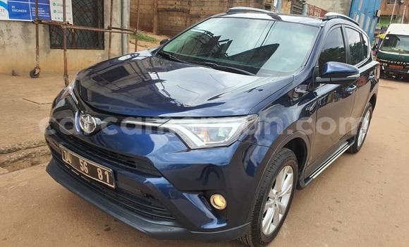 Buy Used Toyota RAV4 Blue Car in Yaounde in Central Cameroon Buy Used Toyota RAV4 Blue Car in Yaounde in Central Cameroon