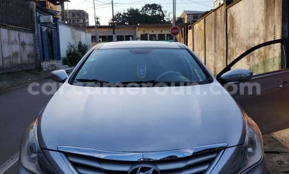 Buy Import Hyundai Sonata Silver Car in Douala in Littoral Cameroon Buy Import Hyundai Sonata Silver Car in Douala in Littoral Cameroon