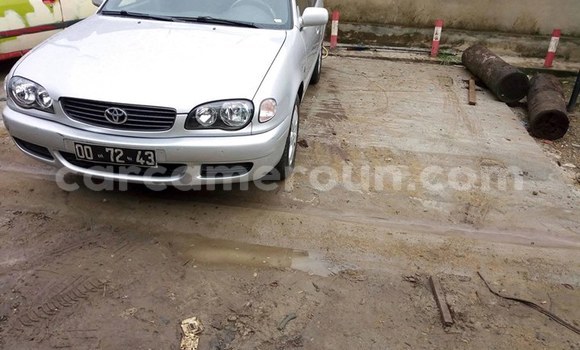 Buy Used Toyota Corolla Silver Car in Douala in Littoral Cameroon Buy Used Toyota Corolla Silver Car in Douala in Littoral Cameroon