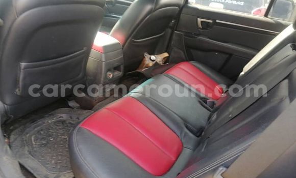 Acheter Import Voiture Hyundai Santa Fe Gris à Douala, Littoral Cameroon Acheter Import Voiture Hyundai Santa Fe Gris à Douala, Littoral Cameroon