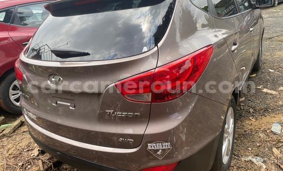 Acheter Import Voiture Hyundai Tucson Gris à Douala, Littoral Cameroon Acheter Import Voiture Hyundai Tucson Gris à Douala, Littoral Cameroon