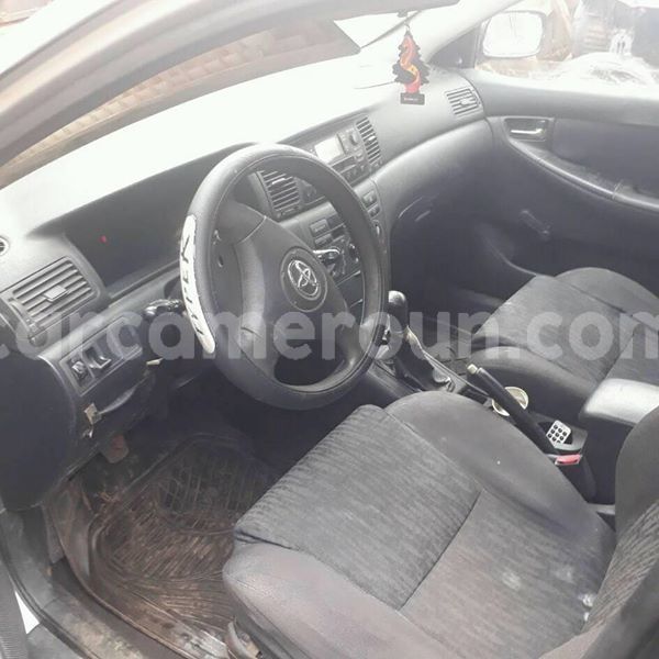 Big with watermark 27654678 10214020316329433 3082351641622008131 n