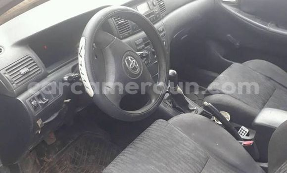 Acheter Occasion Voiture Toyota Corolla Gris à Yaoundé au Central Cameroon Acheter Occasion Voiture Toyota Corolla Gris à Yaoundé au Central Cameroon