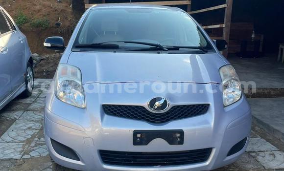 Acheter Import Voiture Toyota Vitz Gris à Douala, Littoral Cameroon