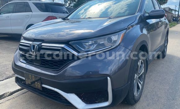 Acheter Import Voiture Honda CR–V Gris à Douala, Littoral Cameroon