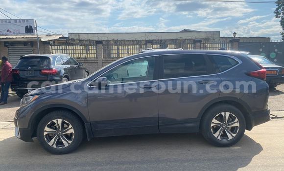 Buy Import Honda CR–V Silver Car in Douala in Littoral Cameroon Buy Import Honda CR–V Silver Car in Douala in Littoral Cameroon