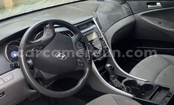 Buy Import Hyundai Sonata Blue Car in Douala in Littoral Cameroon Buy Import Hyundai Sonata Blue Car in Douala in Littoral Cameroon