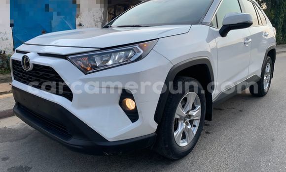 Acheter Import Voiture Toyota RAV4 Blanc à Douala, Littoral Cameroon