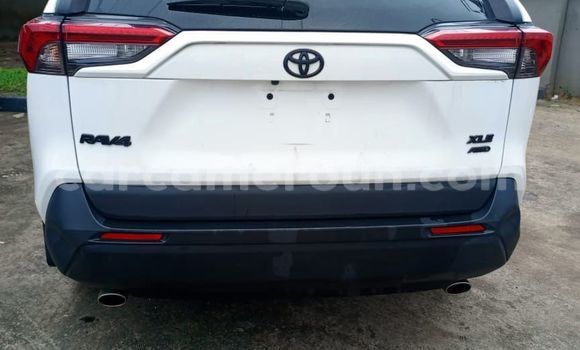 Acheter Import Voiture Toyota RAV4 Blanc à Douala, Littoral Cameroon Acheter Import Voiture Toyota RAV4 Blanc à Douala, Littoral Cameroon