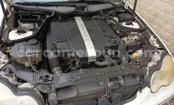 Acheter Import Voiture Mercedes‒Benz C–Class Blanc à Douala, Littoral Cameroon Acheter Import Voiture Mercedes‒Benz C–Class Blanc à Douala, Littoral Cameroon