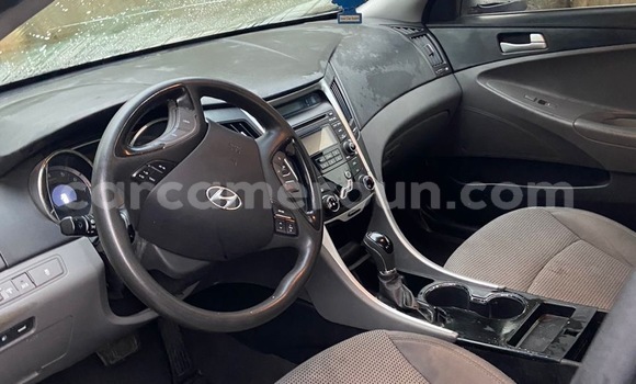 Acheter Import Voiture Hyundai Sonata Bleu à Douala, Littoral Cameroon Acheter Import Voiture Hyundai Sonata Bleu à Douala, Littoral Cameroon