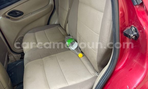 Buy Used Ford Escape Red Car in Douala in Littoral Cameroon Buy Used Ford Escape Red Car in Douala in Littoral Cameroon