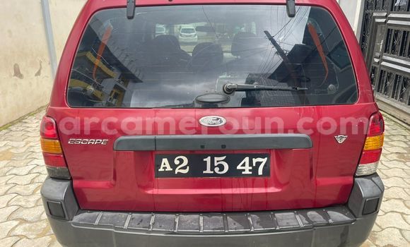 Buy Used Ford Escape Red Car in Douala in Littoral Cameroon Buy Used Ford Escape Red Car in Douala in Littoral Cameroon